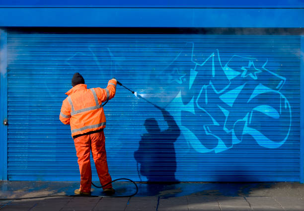 Best Garage Pressure Washing  in La Crescent, MN