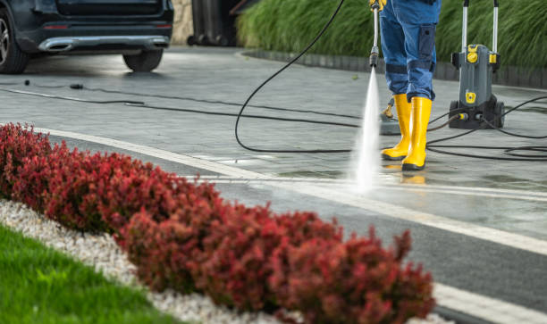 Best Roof Power Washing Services  in La Crescent, MN