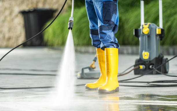 Best Power Washing Near Me  in La Crescent, MN