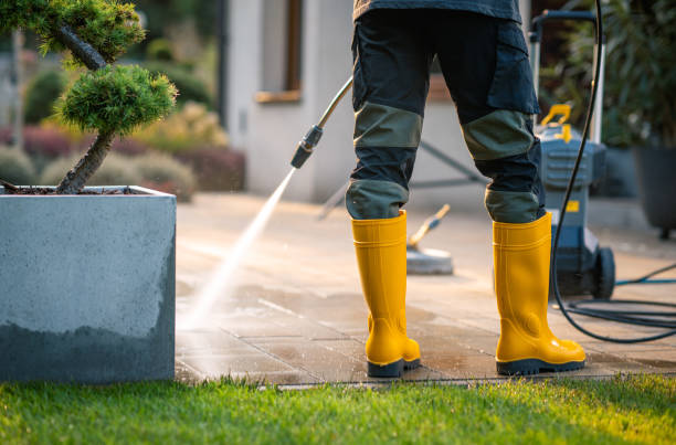 Best Fence Pressure Washing  in La Crescent, MN
